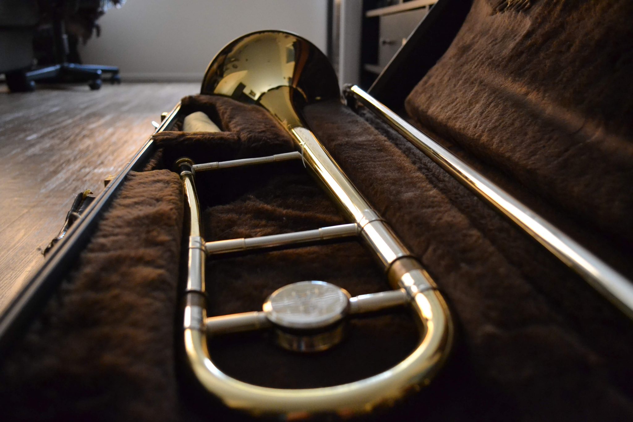 The Anatomy of a Trombone Trill Trombone